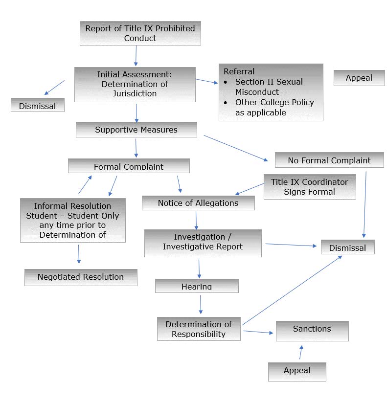 Visual Representation of Title IX Grievance Process